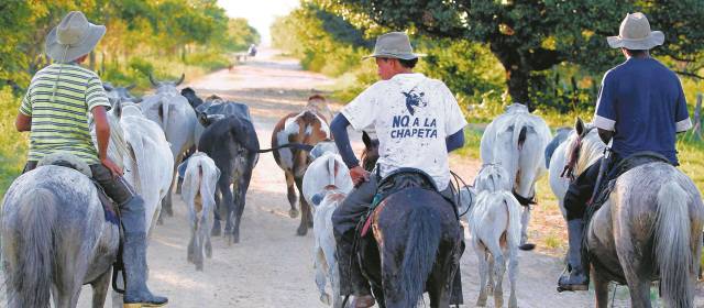 Qué buen domingo 3 de febrero con El Colombiano | Foto: Jaime Pérez
