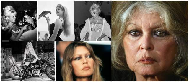Brigitte Bardot, siempre polémica | A finales de los setenta, en Canadá, sus primeras y poco hábiles declaraciones ante las cámaras contra la matanza de bebés foca inauguraron una serie de hecatombes mediáticas. FOTOS AP, afp