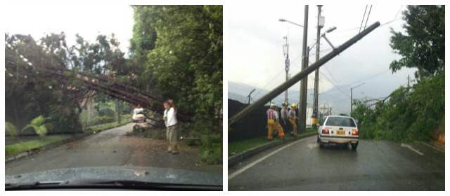 Izquierda: árbol caído Calle 6 El Poblado. Foto Hernán Builes. Derecha: árbol caído sector Las Palmas. Foto: Pipe Bustamante @pipebusta