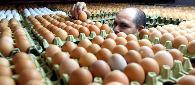 Crece el contrabando de huevos, pero no baja precio al consumidor | FOTO ARCHIVO