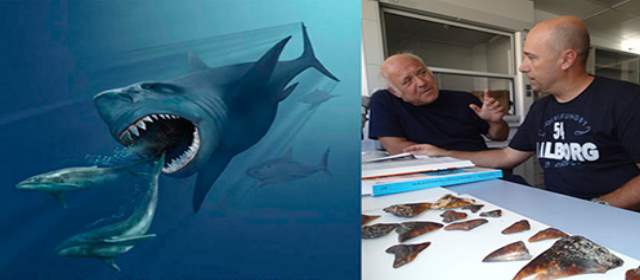 Izquierda: ilustración del Megalodón cazando ballenas del museo natural de Virginia, Estados Unidos. Derecha: Ciéntificos Franco Cigala y Pedro J. Pascual. Foto cortesía IEO