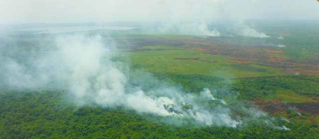 Detenidas 14 personas por incendio en ciénaga de Necoclí | FOTO ARCHIVO