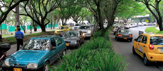 El caso del Túnel Verde no encuentra puntos medios | El punto neurálgico del pleito del Colectivo Túnel Verde con las autoridades es la conservación de los árboles. FOTO RÓBINSON SÁENZ