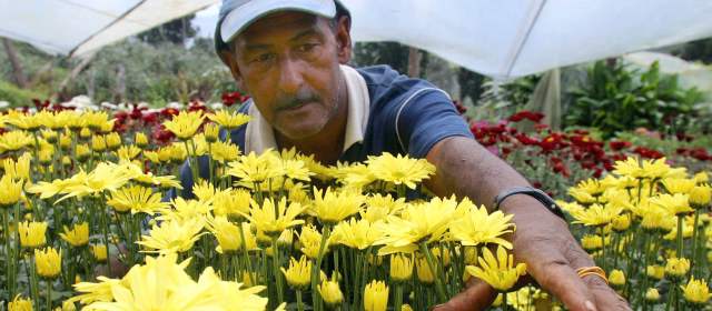 Santos dice que Colombia crece en el mercado mundial de flores con los TLC |