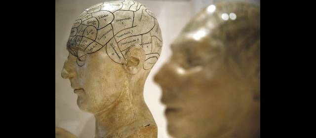 El cerebro, una máquina perfecta en el cuerpo humano | FOTO REUTERS