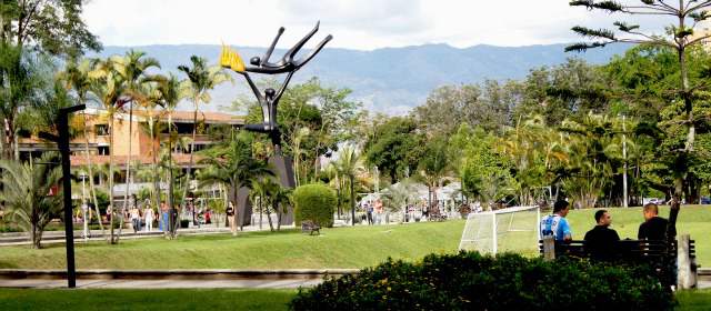 Informe comercial Universidad de Medellín nuevos programas