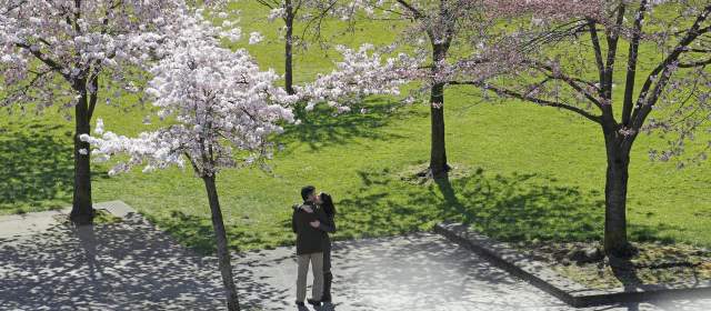 El placer de ver las flores | FOTO Ap. Portland. E.U.