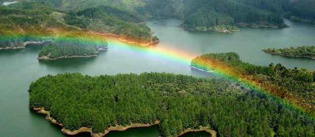 Parques Nacionales protegen el 75% de las lagunas y ciénagas | De las 56 áreas protegidas que hacen parte de Parques Nacionales Naturales de Colombia, 16 son significativas con relación al recurso hídrico. FOTO DONALDO ZULUAGA