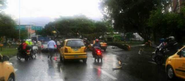 FOTO CORTESÍA @cardonahill41min