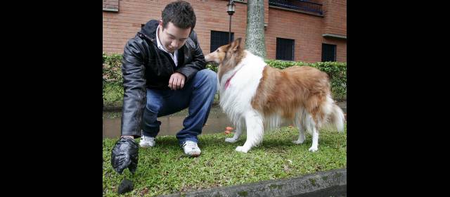 ¿Qué afecta la convivencia? | La disposición de las heces de las mascotas generan diferencias en las copropiedades. FOTO ARCHIVO