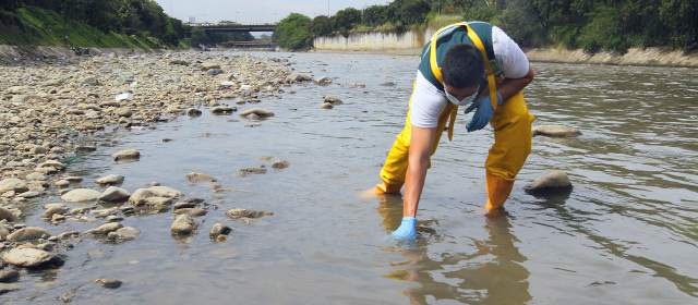 Con la toma de muestras se evalúa la calidad del agua. Se busca conservar todas las formas de vida. FOTO DONALDO ZULUAGA