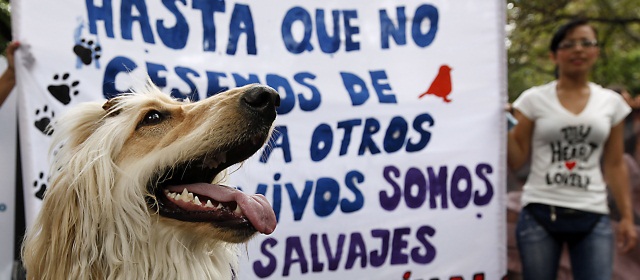 FOTO JULIO CÉSAR HERRERA