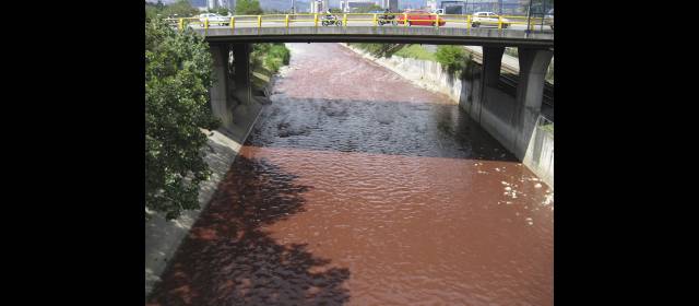 Luis Alfonso Yepes es el vigía del río Medellín | La imagen es del 6 de octubre de 2009. FOTO LUIS ALFONSO YEPES