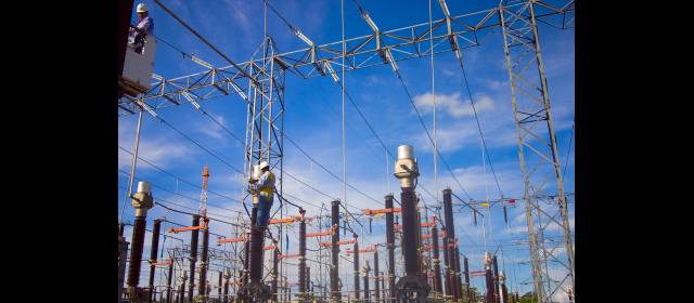 Se avanza pese a las dificultades | Gracias al crecimiento y potencialidad que tiene el subsector se requiere de más personal capacitado para atender los problemas. FOTO: CORTESÍA