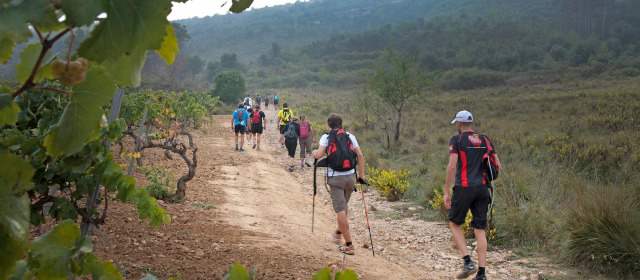 Ayunar y caminar revitalizan el cuerpo | Efectuar pausas regenerativas en nuestra vida ayuda a descansar y limpiar el cuerpo. FOTO EFE