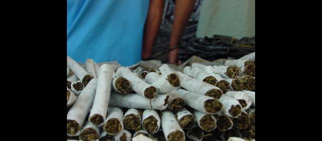 Uruguay: decomisan marihuana al violar ley | En nuestro país la lucha contra el narcotráfico sigue sin dar tregua. Expertos y políticos piden nuevo enfoque. FOTO ARCHIVO