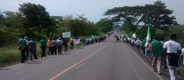 Continúa la cadena humana de campesinos de Montes de María | Foto: Colprensa