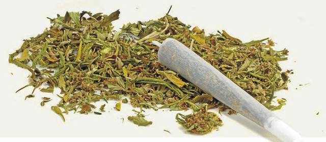 Procurador impugnará decisión de la Corte sobre dosis mínima | Según la decisión de la Corte, se pueden portar hasta 22 gramos de marihuana.