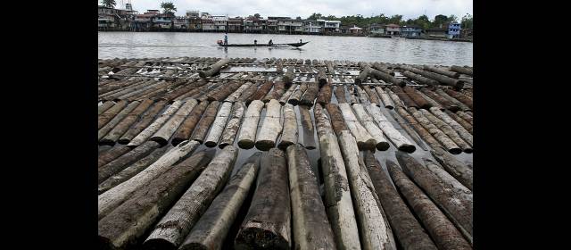 Madera: otra fuente para los ilegales | A agosto iban 322 metros cúbicos de madera decomisada. FOTO JULIO CÉSAR HERRERA
