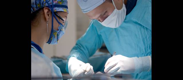 Médicos: el Icetex tiene becas para ustedes | El Icetex ofrece a los médicos un fondo de apoyo para la formación como especialistas. FOTO ARCHIVO