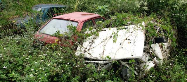 El Tránsito podrá vender los carros antiguos que permanecen en patios | Seis sitios dispone la Secretaría de Movilidad para parqueo de los vehículos inmovilizados. La maleza se tragó algunos. FOTO ARCHIVO