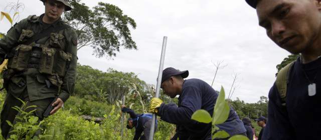 Cultivos ilícitos aumentaron 8 por ciento desde el inicio de los diálogos de paz |