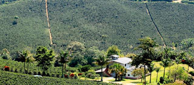 Paisaje Cultural Cafetero compite por ser la Octava Maravilla del Mundo |