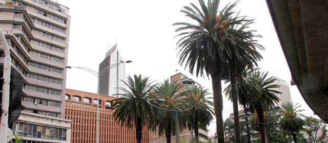En tratamiento, 14 palmeras del centro de Medellín | Archivo | La Plazuela Nutibara es uno de los lugares emblemáticos de Medellín.
