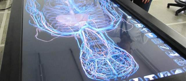Ahora el cuerpo se estudia de forma virtual | Muestra horizontal de una de las imágenes que se pueden apreciar en la mesa. FOTO CORTESÍA