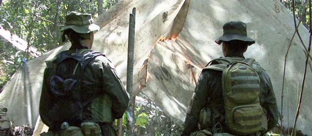 Policía destruyó laboratorio para procesamiento de coca en San Luis | El laboratorio estaba ubicado en zona rural de San Luis.