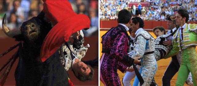Julián López, el Juli, fue corneado por un toro en Sevilla | Fotos: Reuters