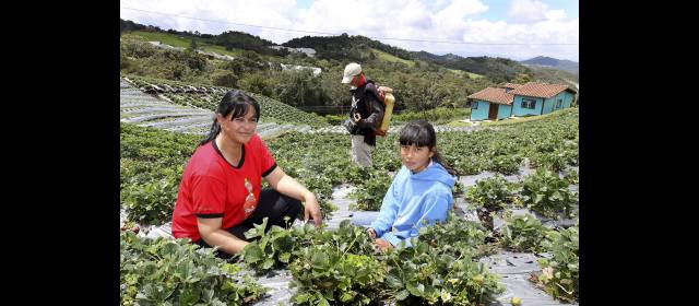 Fallo delimitó la reserva del río Nare | Las veredas Pantanillo y Perico (en la foto) de Envigado hacen parte del área de Reserva Forestal del Río Nare. FOTO DONALDO ZULUAGA