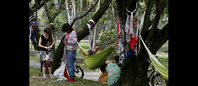Hoy, marcha en defensa del túnel verde de la 43A | Hamacas, tirantas de colores y pancartas, lucen los árboles que defienden los habitantes de un sector de Envigado. FOTO JAIME PÉREZ