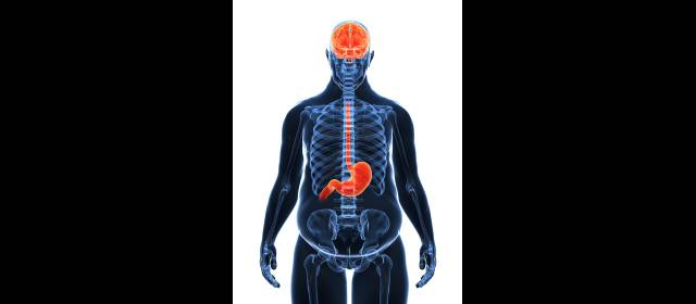 Comer y dormir: dos placeres que se protegen desde la mente |