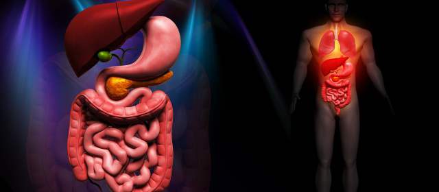 Vida sana es clave para la salud gástrica | Los especialistas coinciden al señalar la relación entre las emociones y el sistema digestivo. El estrés es una de las causas comunes de la gastritis, por ejemplo. FOTO SHUTTERSTOCK