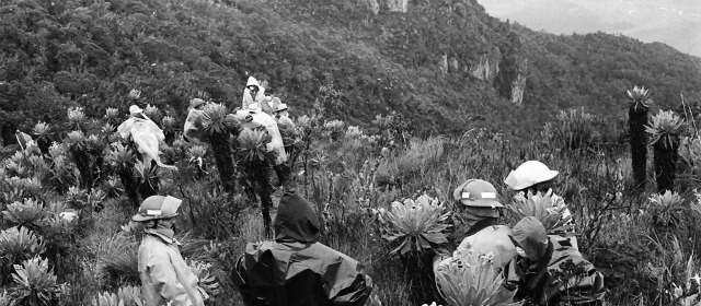 Búsqueda de los cuerpos en el Páramo de Frontino FOTO ARCHIVO
