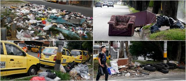 Así lucían ayer al final de la mañana las calles de Medellín | 1. Separador vial en la zona de Moravia y el Parque Norte, en la calzada que va al Puente del Mico. 2. Barrio Los Colores, al norte, por la zona de La Iguaná. 3. La Aguacatala tampoco se libró de la plaga ayer. 4. La 65, en el área de TCC. FOTOS JULIO CÉSAR HERRERA