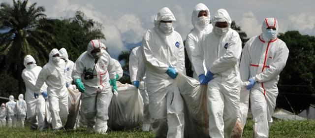 Avanza identificación de guerrilleros abatidos en Vistahermosa, Meta | Colprensa | Los guerrilleros fueron trasladados de Vistahermosa a la base aérea de Apiay.