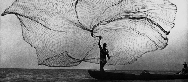 Macondo, de Leo Matiz, va a Santa Fe de Antioquia | Pavo real del mar o la red es una de las imágenes más conocidas de Leo Matiz. FOTO CORTESÍA