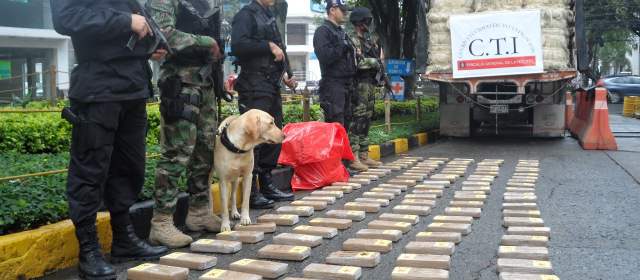Incautan 130 kilos de coca que venían para Medellín |