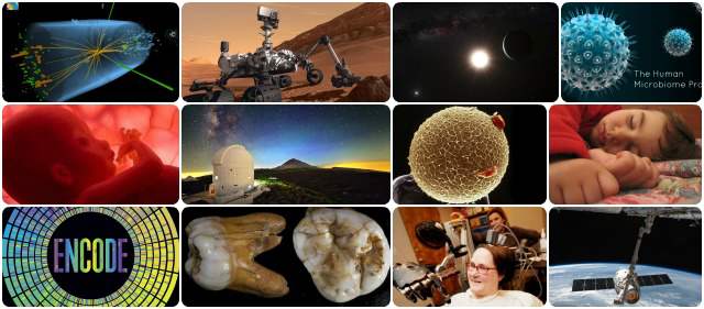 Los 12 hitos científicos de 2012