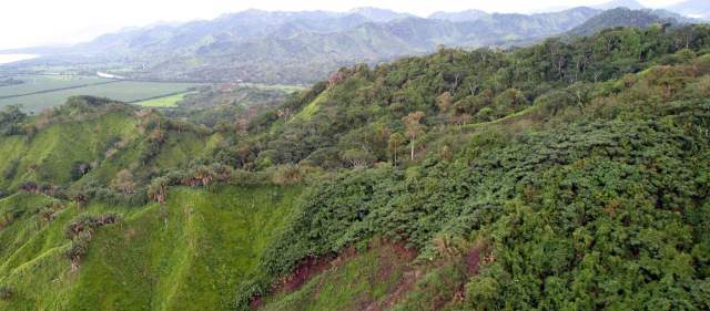Colombia redujo su deforestación, pero la tasa sigue siendo alta |