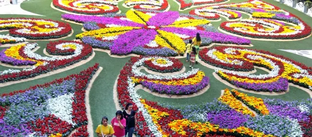 Programación Feria de las Flores 2013, lunes 29 de julio