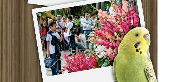 En el Jardín, no alcanzan las palabras |