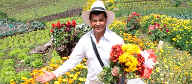 Programación Feria de las Flores 2013, martes 30 de julio