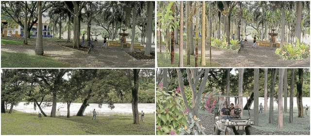 En Cauca Viejo florece un jardín