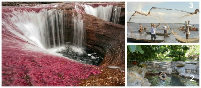 Destinos con toque excepcional | Caño Cristales, en la Sierra de la Macarena, se conoce como el río de los cinco colores. FOTO CORTESÍA