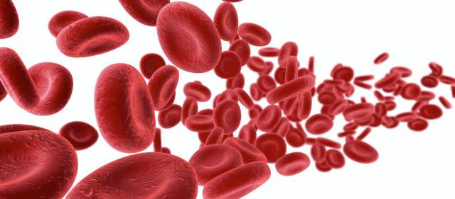 La sangre también es vulnerable | Este cáncer no se presenta con frecuencia pero el índice de mortalidad es alto. FOTO SHUTTERSTOCK