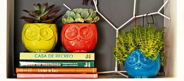 Plantas viven en materas divertidas | Estas materas son una forma divertida de decorar los espacios. FOTOS CORTESÍA Y NATALIA OSPINA V.