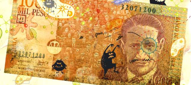En billetes de $1.000 hallan 710 géneros de bacterias